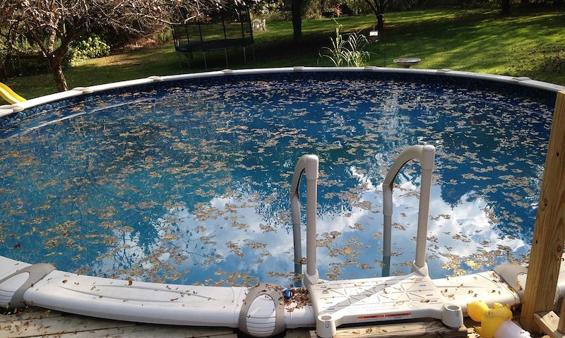 choose the best pool cleaner for leaves in australia