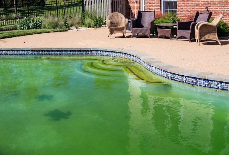 green pool water