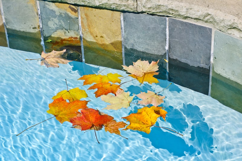 leaves in pool water adding tannins